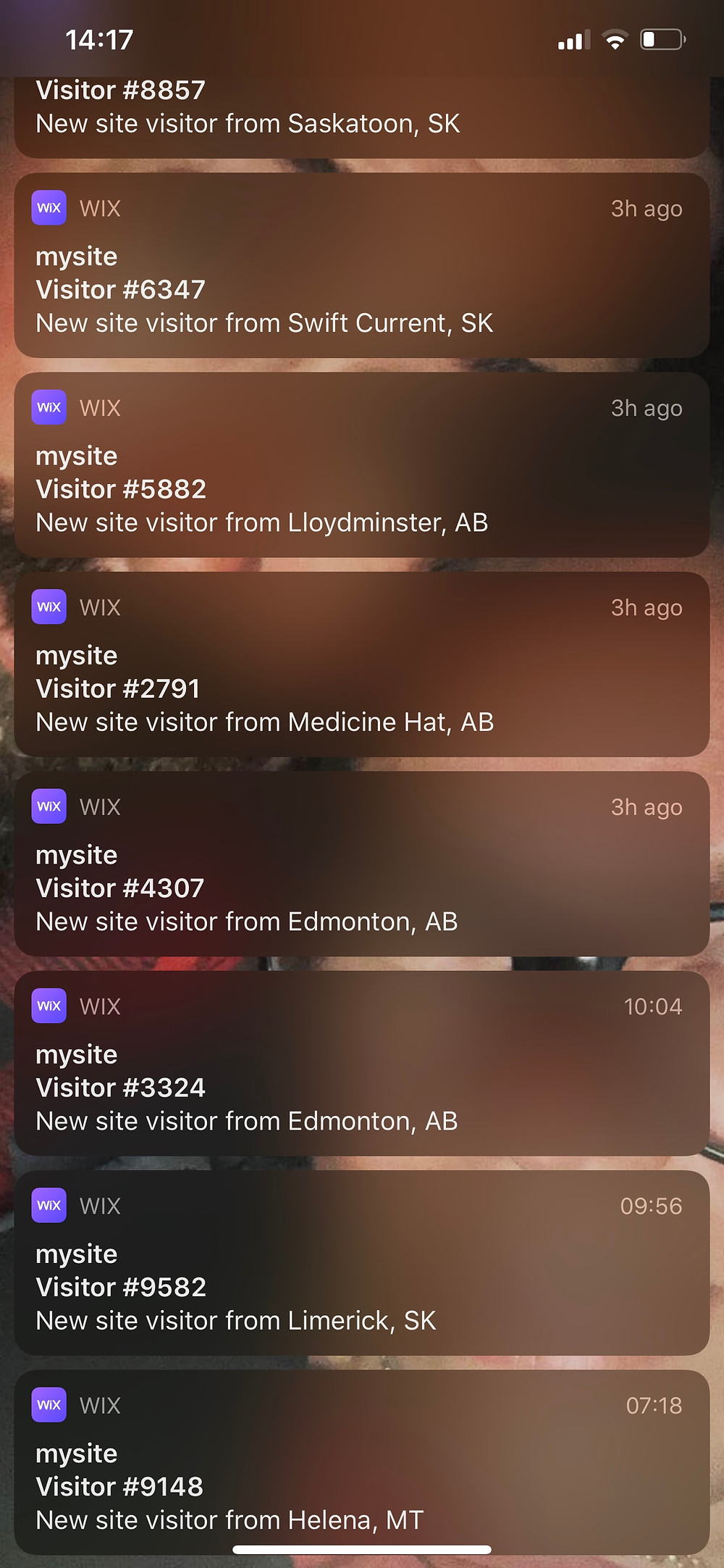 website notifications