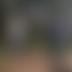End of July Update