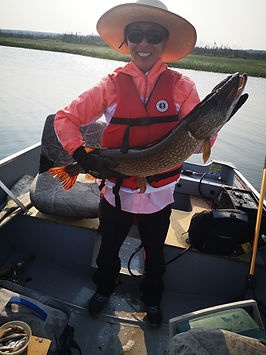 Niiiice pike