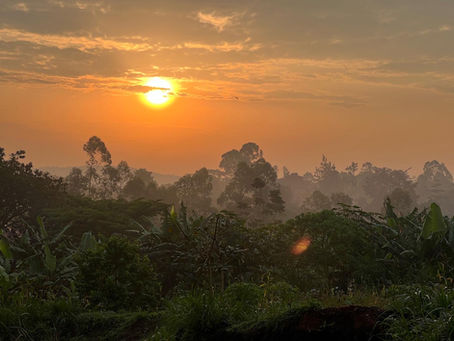 Uganda - Wer die Sonne fürchtet, wird nicht Häuptling werden