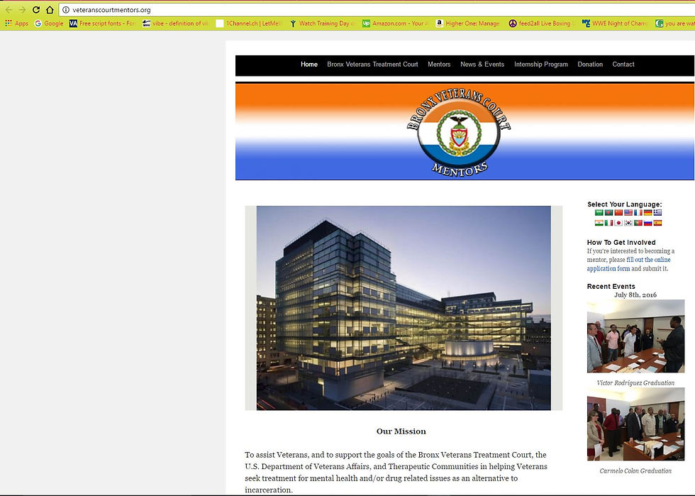 veteranscourtmentors.org