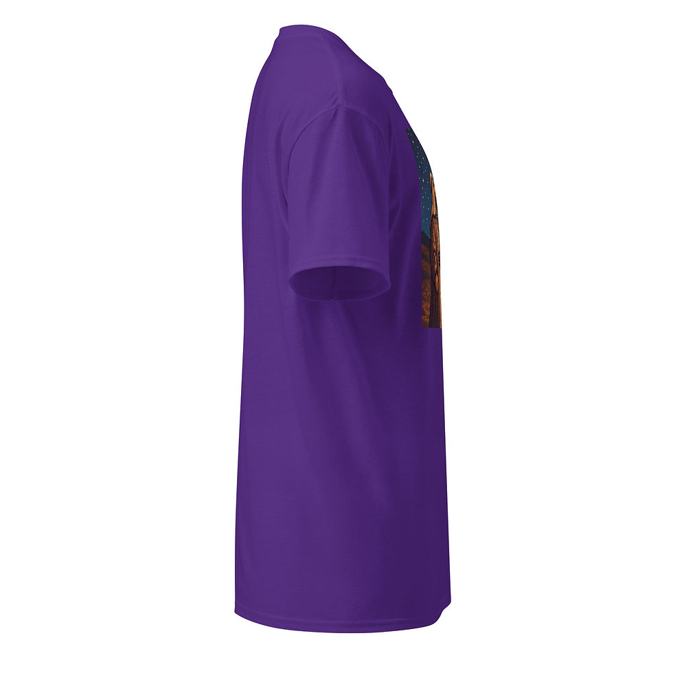 Thumbnail: Abraham looking at starry night sky | DryBlend® T-shirt