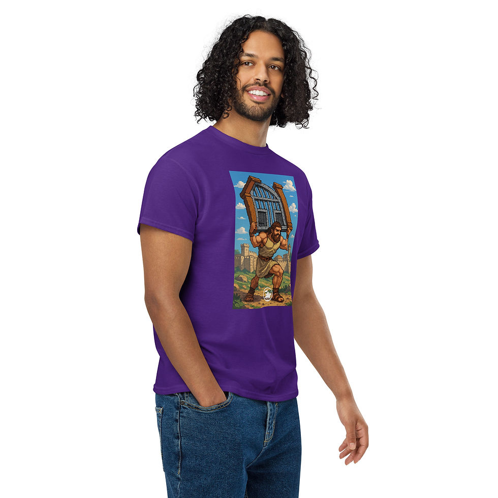 Thumbnail: Samson carrying city gates | DryBlend® t-shirts