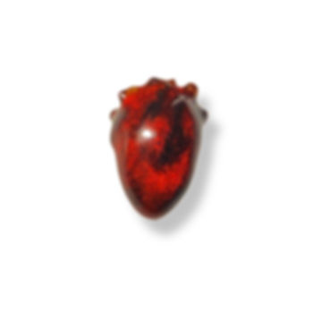 Tiny Fire Heart