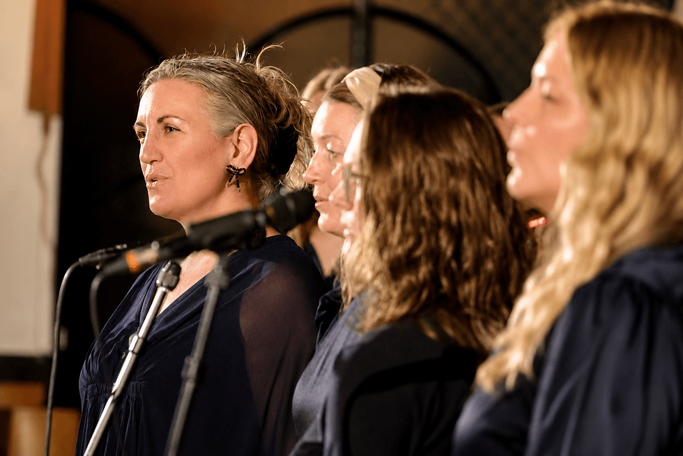 VoA | Voices of Aarhus X Stemmer Bygger Bro