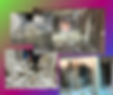 Untitled design - 2025-02-21T185643.564.png