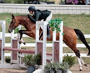 b45735ff-634c-48bc-b115-091d75a19218_edi