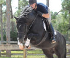 1_Raven_over_barn_jump_72.jpg