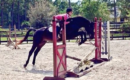 IMG_3938 1_edited.jpg