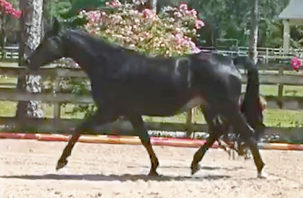 IMG_2654 1_edited.jpg