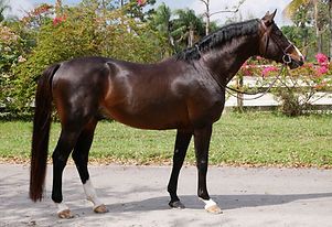 P1000427 (Edited).JPG