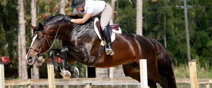 Trip jump PB_edited_edited_edited_edited.jpg