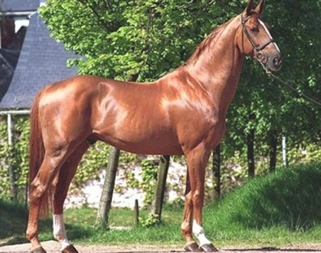 Baloubet.jpg