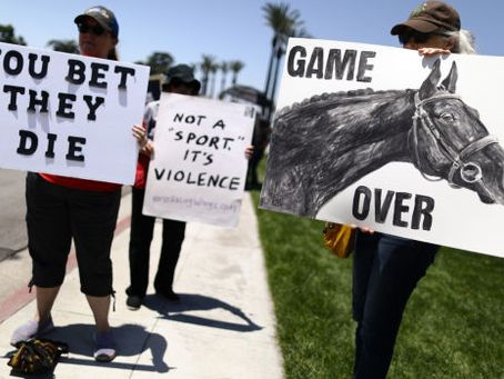 Wow! Horse Racing Wrongs is the ONLY journalist to cover the death at Santa Anita! SHOCKING!