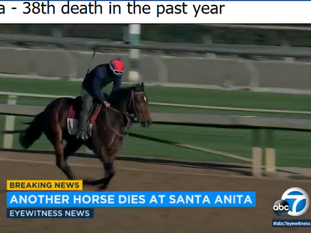 ANOTHER horse died at Santa Anita