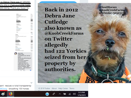 After having 122 small dogs seized allegations Randi Collier sold Debra Jane Cutledge 3 horses...