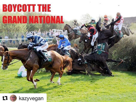 Taylor Swift stood on the right side of history when she cancelled her show at the Grand National!
