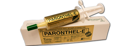 paronthel-e.png