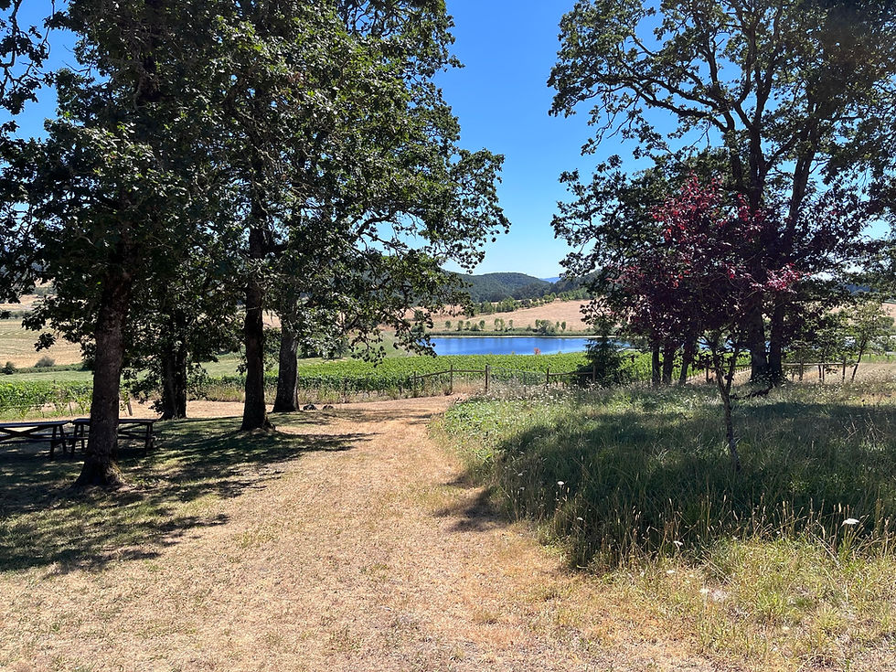 Joann Vineyards winery in Oregon