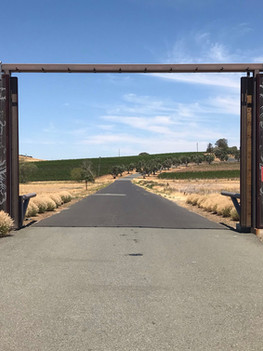 Wine By Appointment Rolls Down For A Rolic at Rams Gate Winery