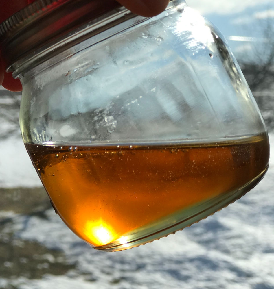 How to Celebrate the Magic of Maple Syrup this March Break