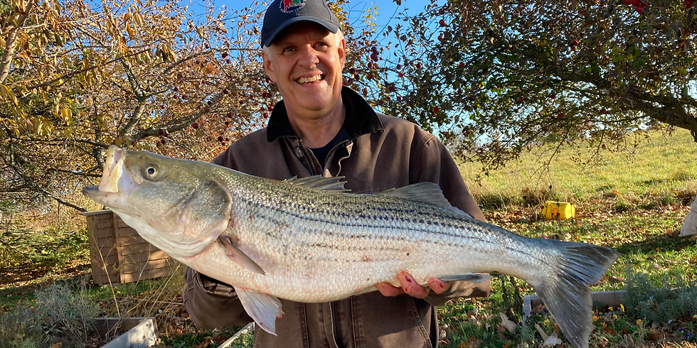 Striped Bass: Catch & Cook