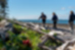 Shoreline Forage & Wild Picnic August 2