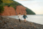 Shoreline Forage & Wild Picnic June 20