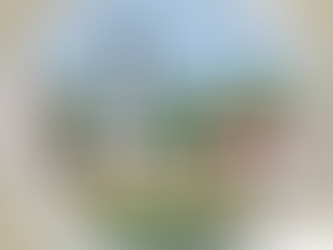 Citizenship in the Community