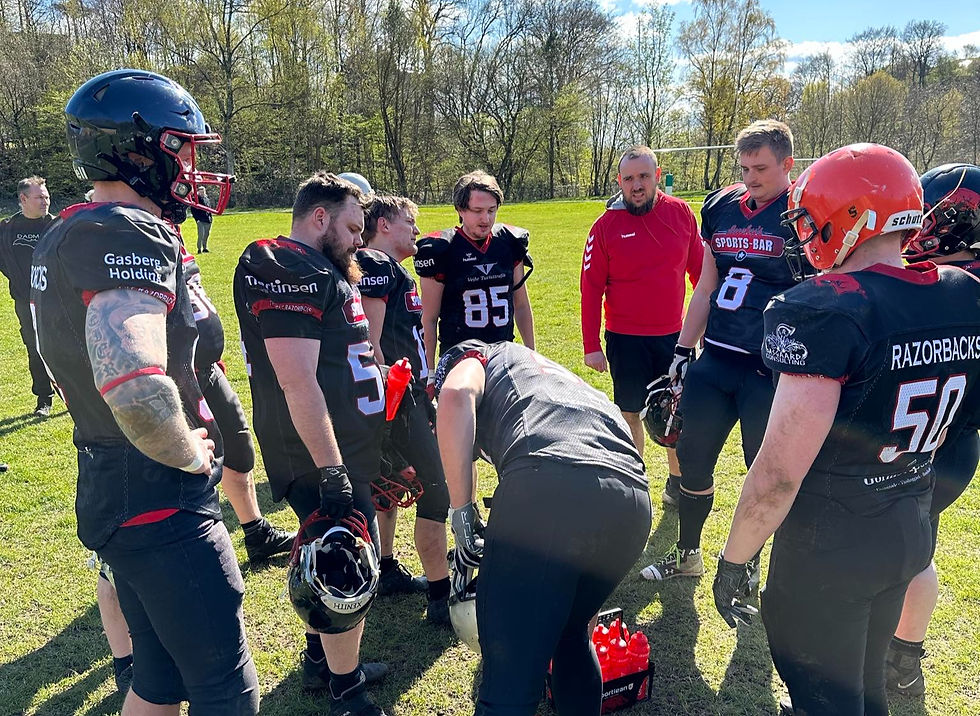 DS: Vikings vs. Razor