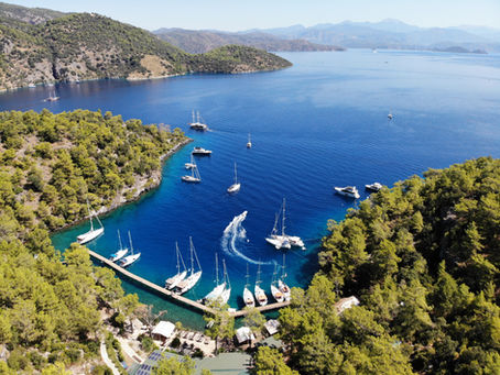 2022 GÖCEK İHALESİ 2: Görülen lüzum üzerine ihale iptal ! - 2022 Nisan