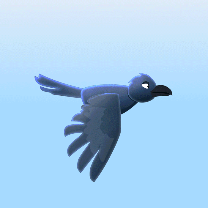 Services - Animation (Bird).gif
