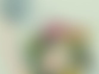 Talk Therapy & Somatic Experiencing: Two Powerful Paths to Healing