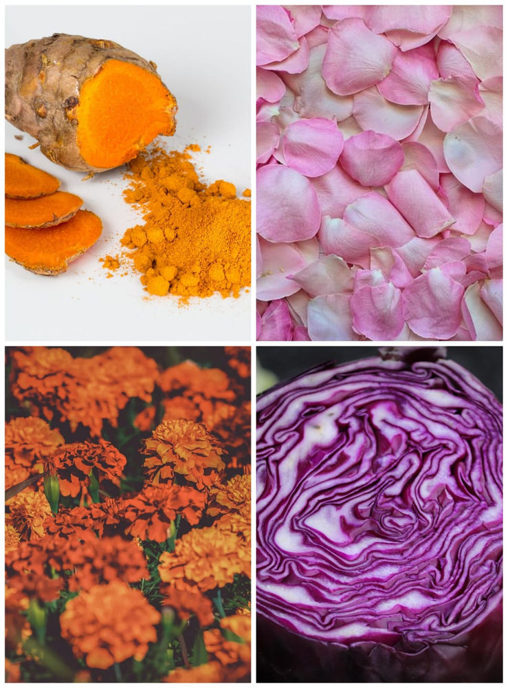 Make EcoFriendly Colours at Home with Inwaster!