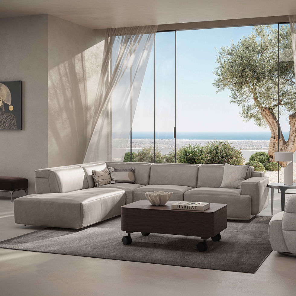 natuzzi italia iago sofa.jpg
