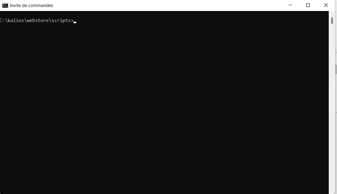 execution.gif