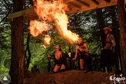 The Hive Fire Performers
