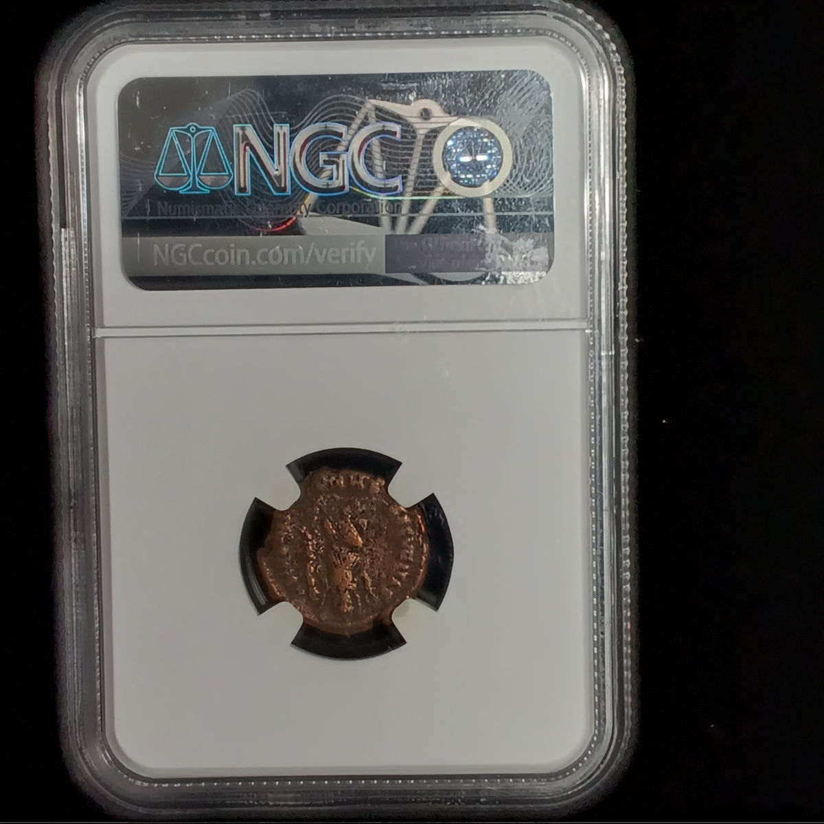Plata Brothers Coins