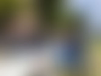 第74回お花見レガッタの結果報告