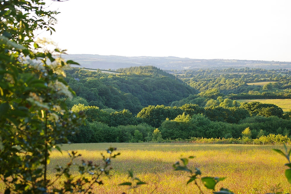 8 acre Field