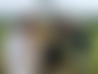 Three beehives and a wedding