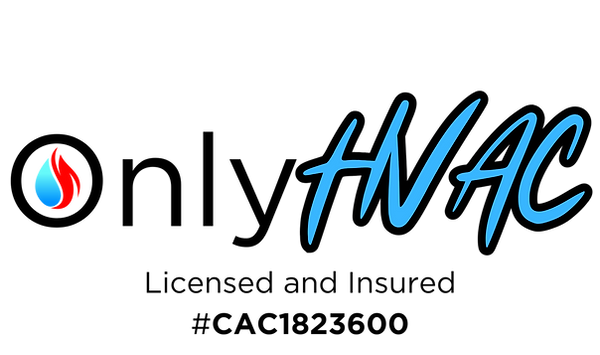 ONLY (800 x 800 px) (1000 x 800 px) (2).png