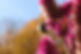 D0380462-4D40-49E0-BF70-B4FAEE106CB1.jpeg
