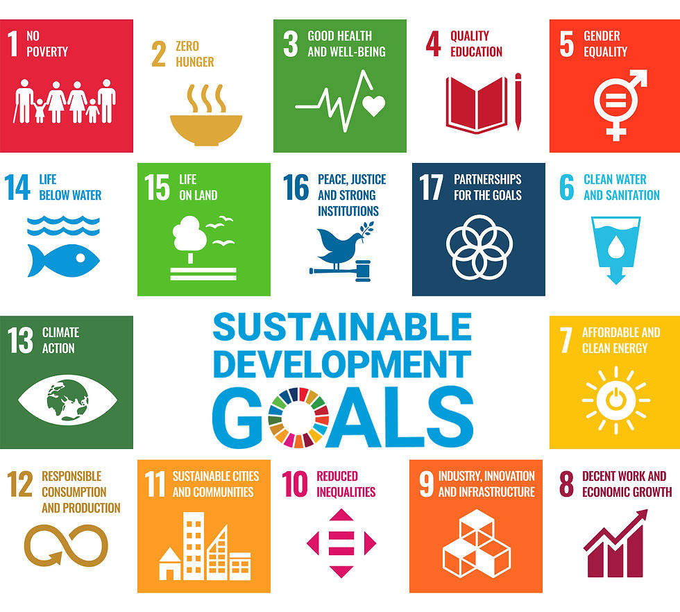 17 SDGS.jpg