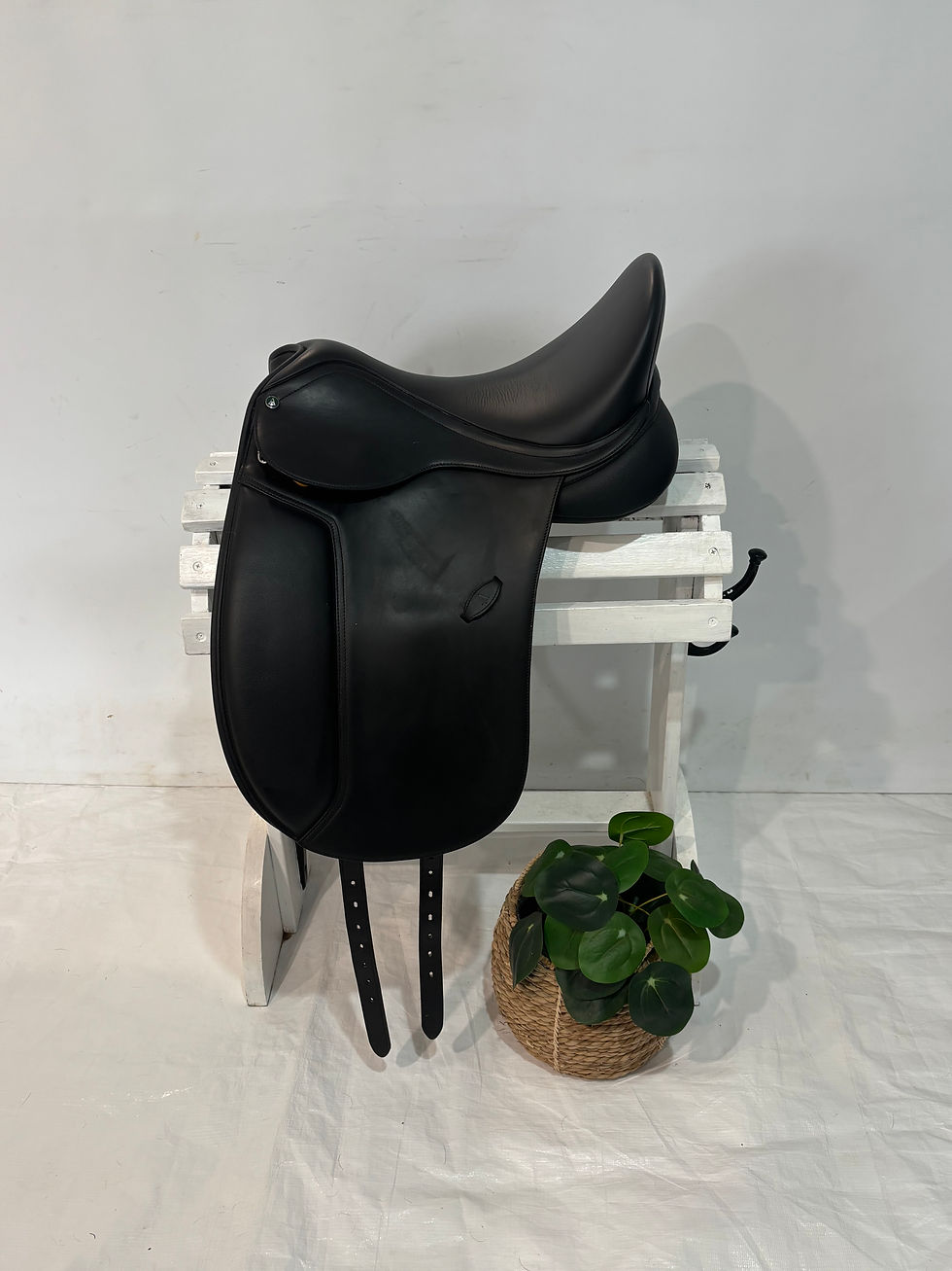 Thumbnail: ARENA DRESSAGE