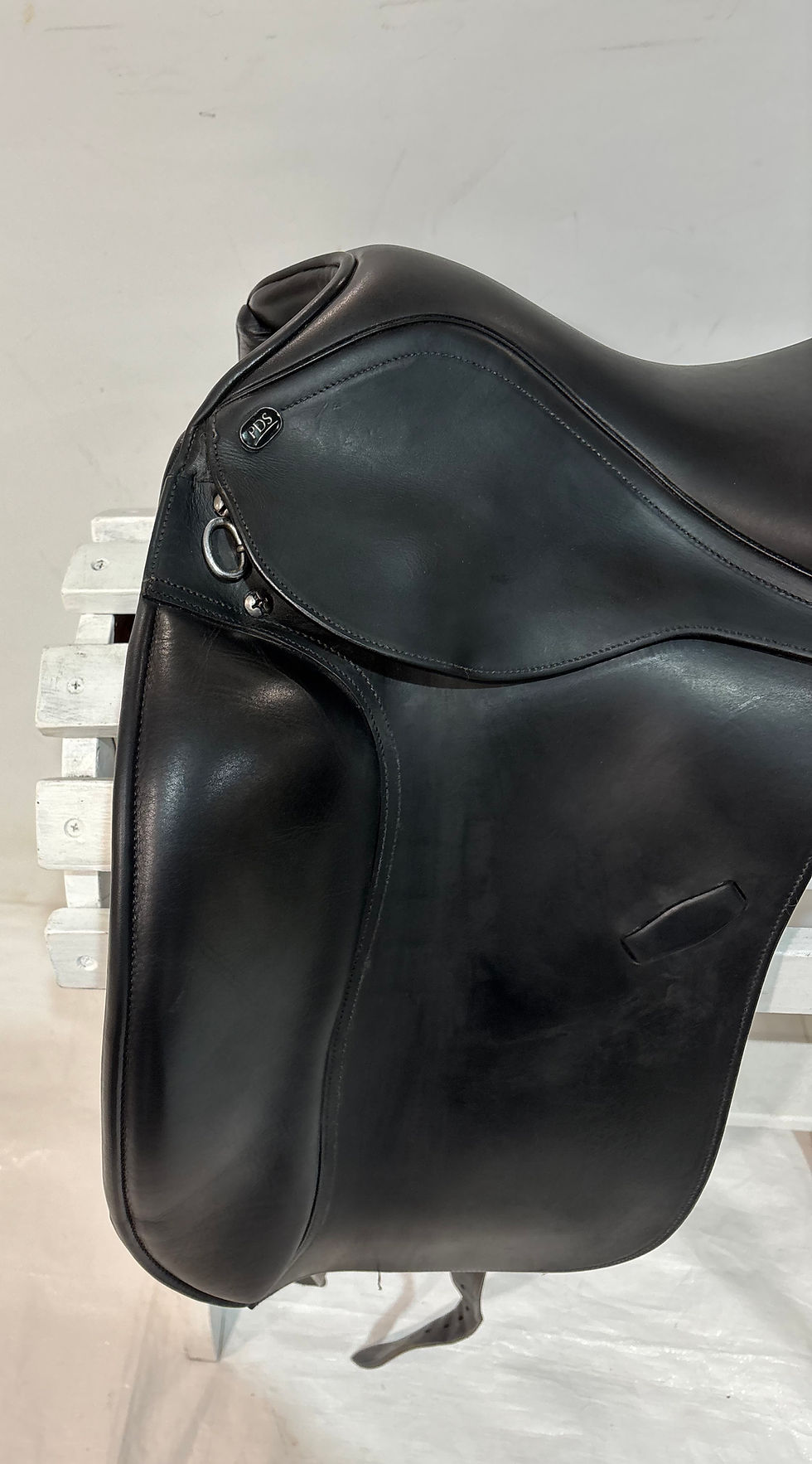 Thumbnail: PDS DRESSAGE Karl Hester Collection