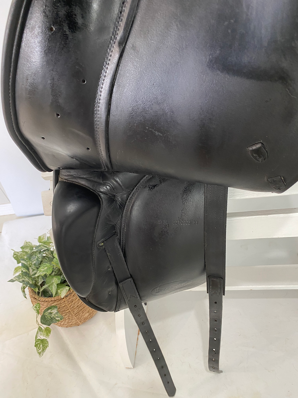 Thumbnail: PRESTIGE DOGE DRESSAGE SADDLE 🐣🔥ON SALE🐣🔥