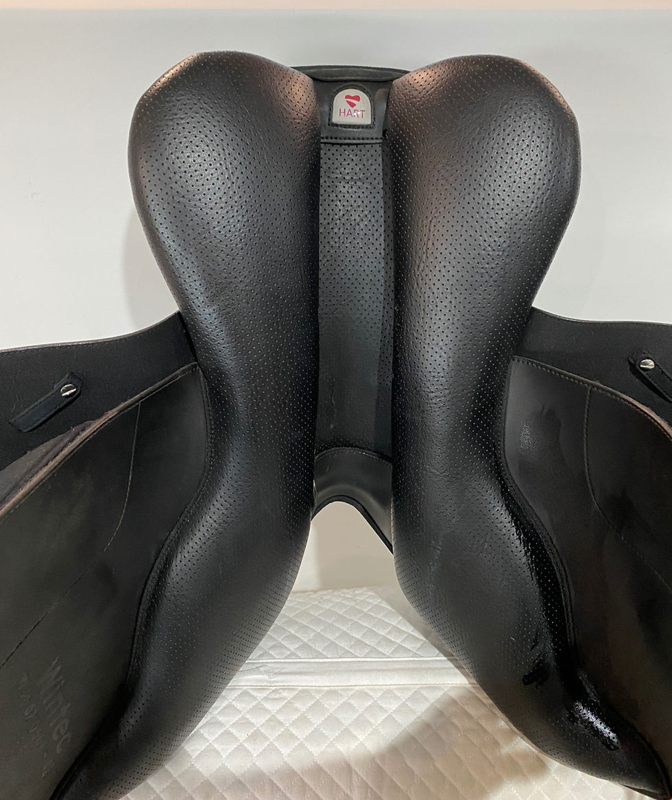 Thumbnail: WINTEC PRO JUMP SADDLE -LATEST MODEL🔥ON SALE 🔥