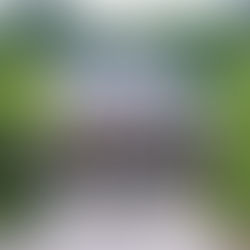 Buddhist temple hall with incense burner and stone path in a forested Japanese setting