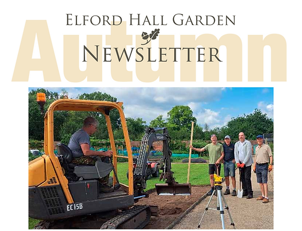 Autumn Newsletter 1.png